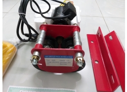 Con chạy điện Trung Quốc