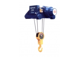 PA LĂNG CÁP ĐIỆN DẦM ĐÔI 500 KG - 70 TẤN
